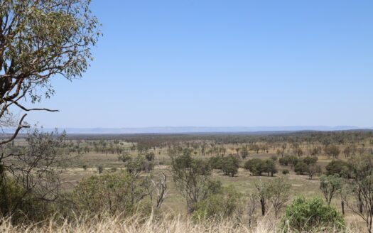 Wedderburn, Springsure QLD